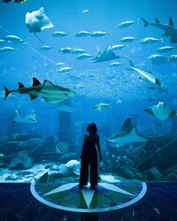 Fish swimming in sea