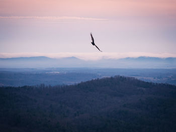 Silhouette bird flying over mountain against sky