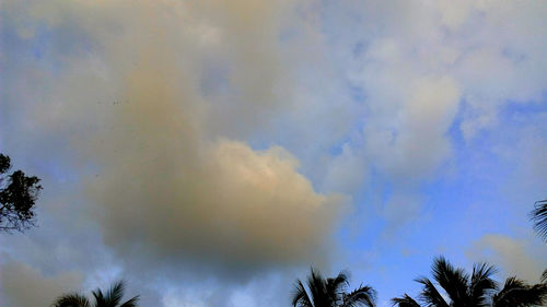 Low angle view of rainbow over trees against sky