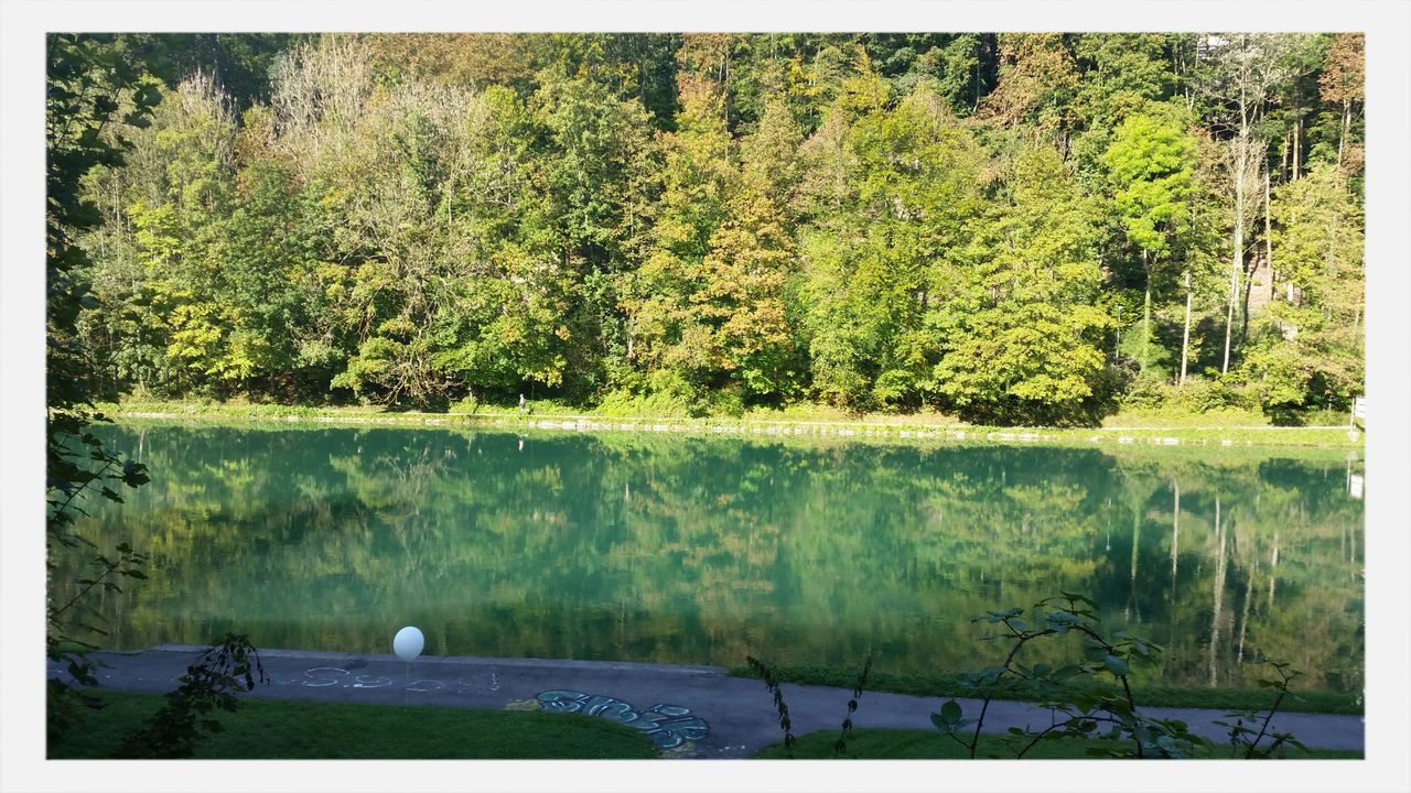 transfer print, water, auto post production filter, tree, lake, tranquility, reflection, nature, waterfront, river, growth, tranquil scene, beauty in nature, scenics, pond, day, outdoors, plant, no people, forest