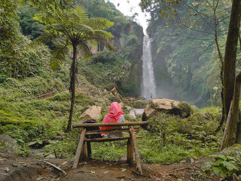 Rear view of woman sitting by plants in forest