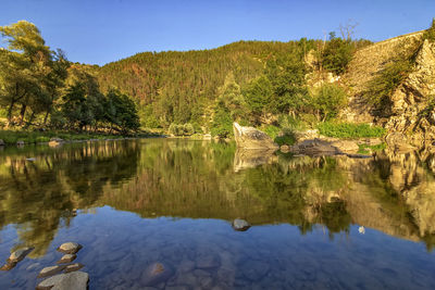 Scenic view of lake by trees against sky