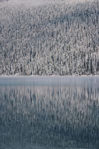 Scenic view of lake during winter