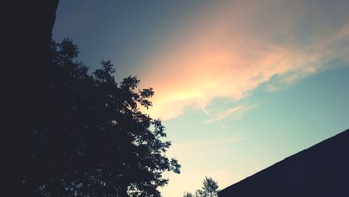 High section of silhouette trees against sky at sunset