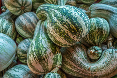 Full frame shot of pumpkins for sale at market stall