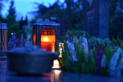 Close-up of illuminated lantern against plants at dusk