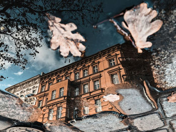 Reflection of building in water puddle on footpath