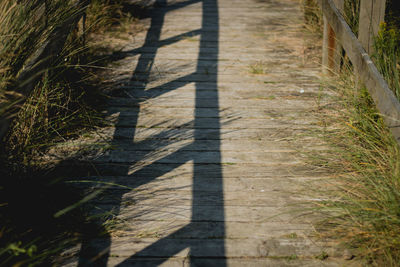 High angle view of shadow on grass