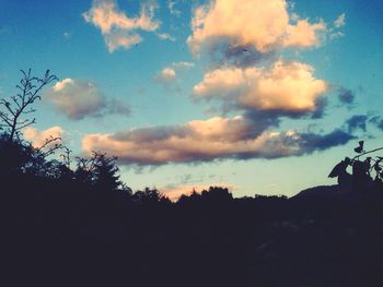 Silhouette of trees against cloudy sky