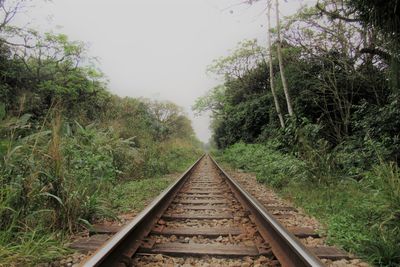 Railroad track amidst trees against clear sky