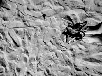 High angle view of lizard on sand at beach