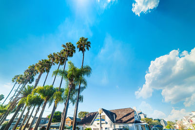 Low angle view of palm trees and building against sky