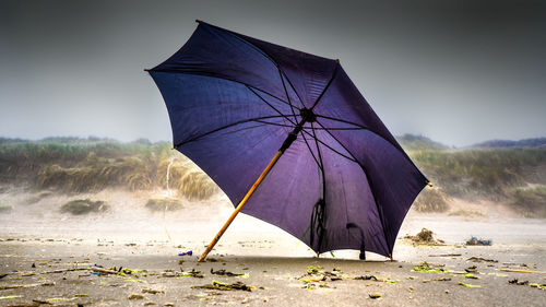 Close-up of umbrella on field