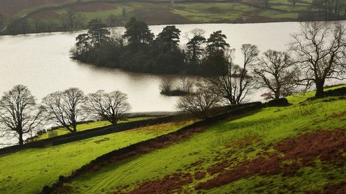 Scenic view of lake and trees against sky