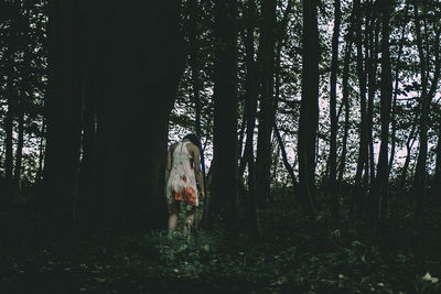 View of a dog in forest