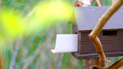 Close-up of birdhouse on wooden fence