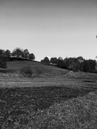 Scenic view of field against clear sky