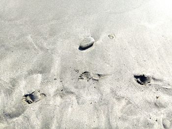 High angle view of footprints on sand at beach