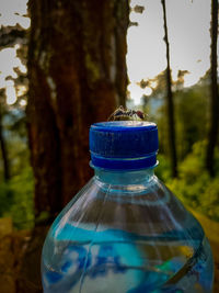 blue