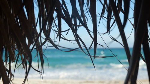 Close-up of sea against sky