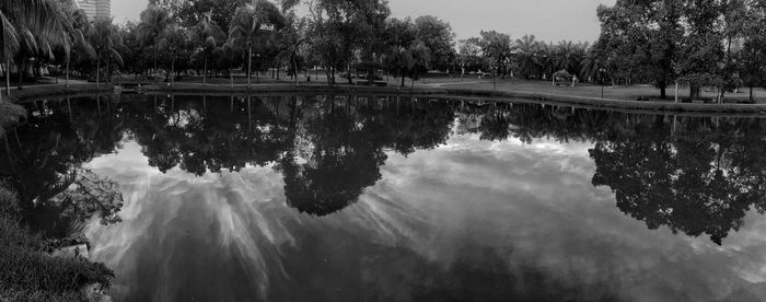 Reflection of trees in water