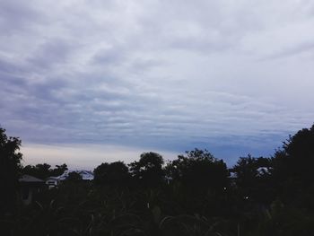 Low angle view of silhouette trees against sky