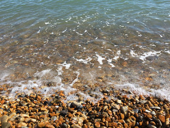 Close-up of pebbles on beach