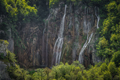 Scenic view of waterfall in forest