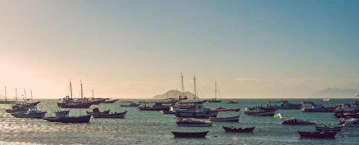 Boats moored in harbor