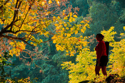 Rear view of man standing by tree