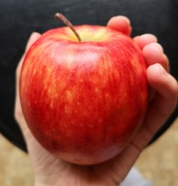 Close-up of hand holding apple