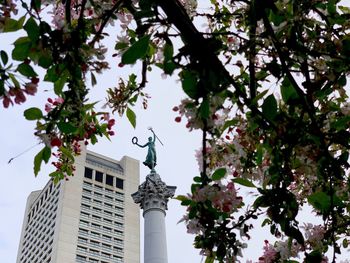 Low angle view of tree and building against sky