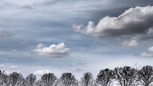 Low angle view of trees against cloudy sky