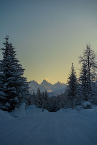 Scenic view of snow covered mountains against sky during sunset