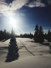 Trees on snow covered landscape against sky