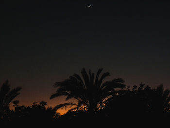 Low angle view of silhouette trees against sky at night