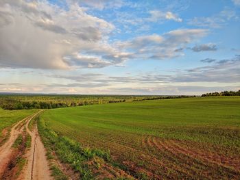 Scenic view of agricultural field against sky