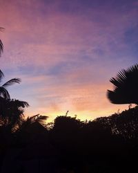 Low angle view of silhouette trees against sky during sunset