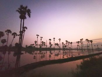 Silhouette palm trees by lake against clear sky at sunset