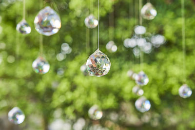 Close-up of christmas decorations