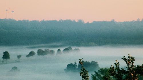 Scenic view of forest against sky during foggy weather