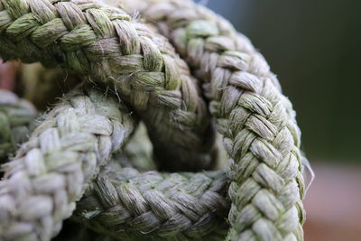 Close-up of rope