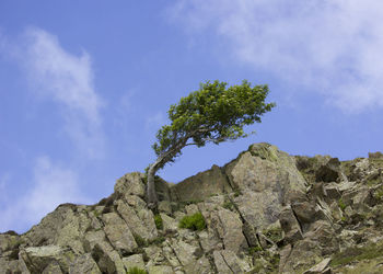 Low angle view of rock formation against sky