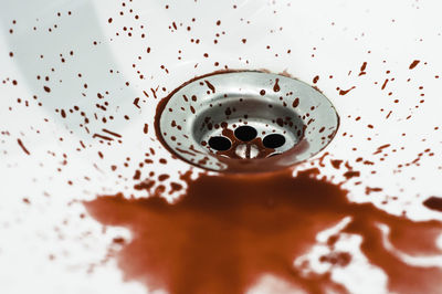 High angle view of blood in bathroom sink