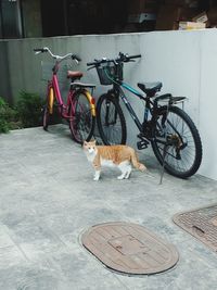 Bicycles on a bicycle parked