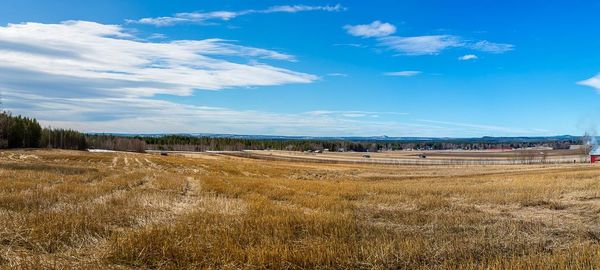 Scenic view of field against blue sky