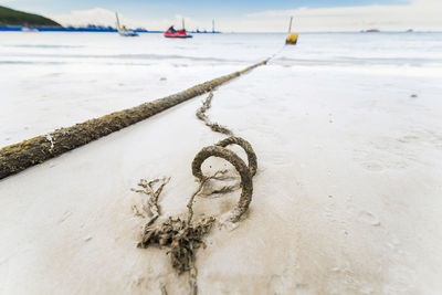 Close-up of rope on sand at beach during winter