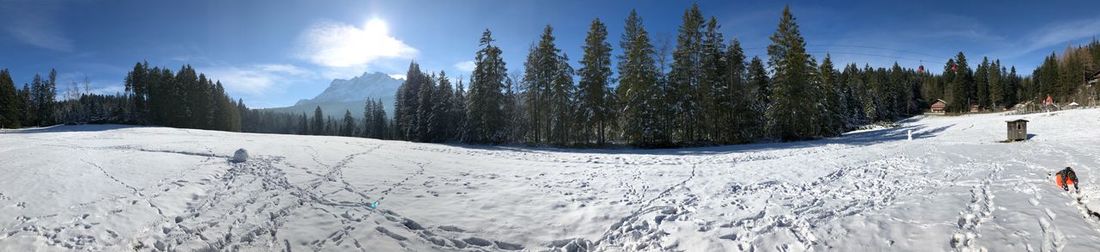 Panoramic view of trees on snow covered landscape against sky