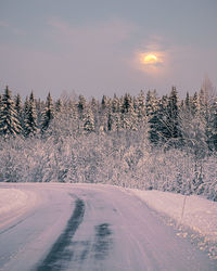 Snow covered road by trees against sky during winter