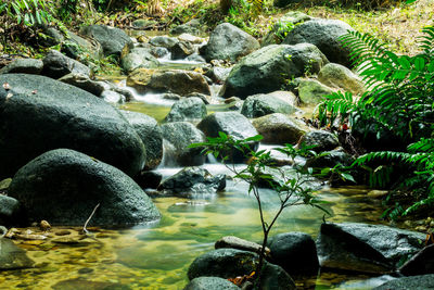 Scenic view of water flowing through rocks